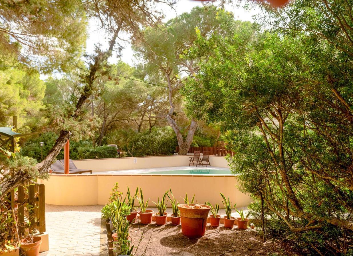 Apartamentos El Pino - Formentera Break Ес Кало Екстериор снимка